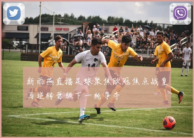 新雨燕直播足球聚焦欧冠焦点战皇马逆转晋级下一轮争夺