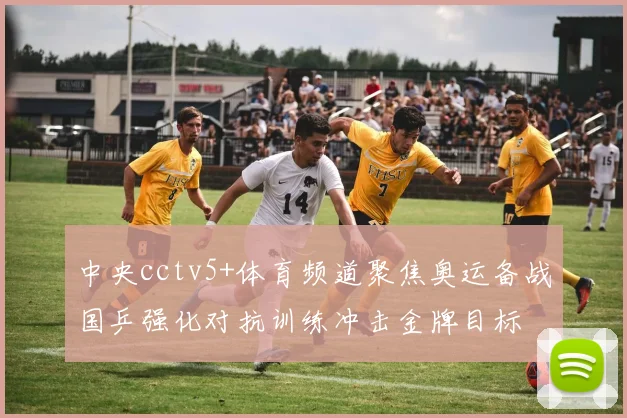 中央cctv5+体育频道聚焦奥运备战国乒强化对抗训练冲击金牌目标