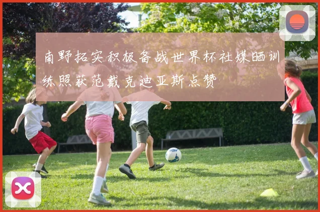 南野拓实积极备战世界杯社媒晒训练照获范戴克迪亚斯点赞