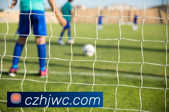 九游在线登陆入口品牌故事